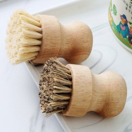eco dish brush