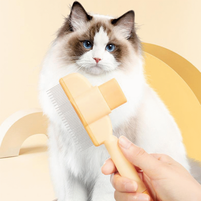 pet brush - Image 3
